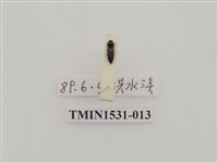 藏品(叩頭蟲科)的圖片